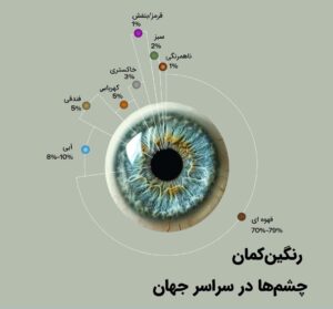 چشم رنگیها و ویژگیهای ژنتیکی آنها | از آبی تا کهربایی