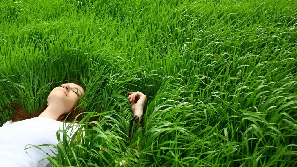 زندگی‌تان را با این ۱۰ گام اثربخش تغییر دهید و به آرامش برسید