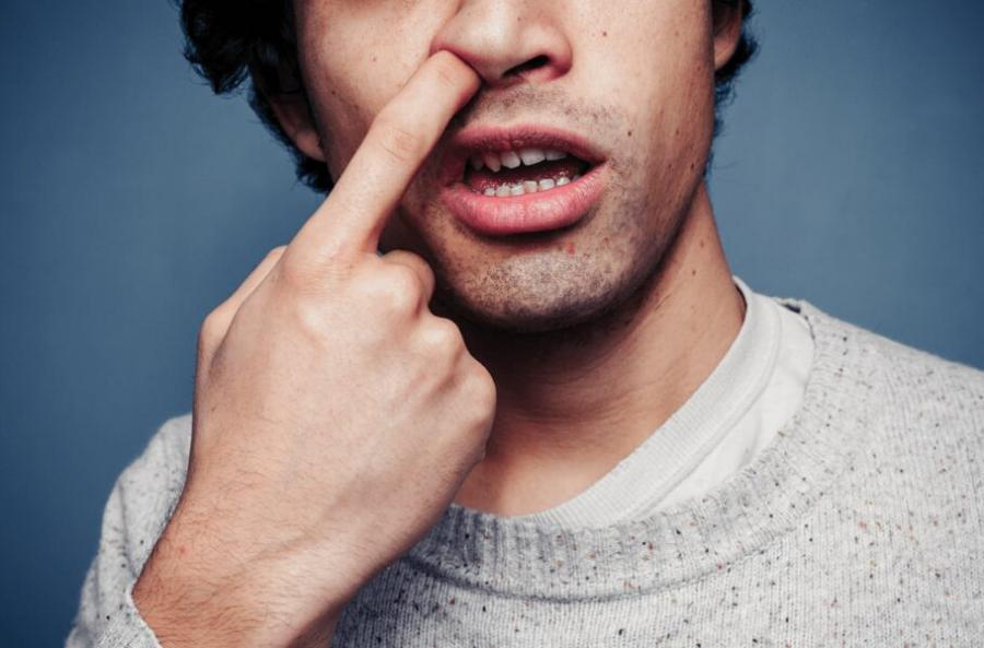 کشف مسیر مستقیم باکتری‌ها به مغز/ آلزایمر از راه بینی؟