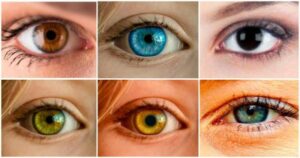 چشم رنگیها و ویژگیهای ژنتیکی آنها | از آبی تا کهربایی