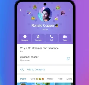 telegram-gets-music-in-profiles-in-latest-update-۷-1024x973.jpg