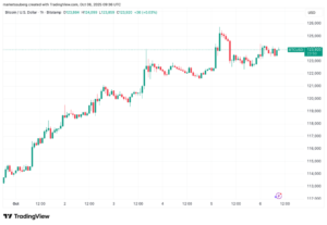 0199b8e2-ea6d-7729-8952-0e076328b89c-1024x708