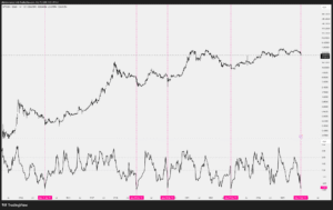 image_2025-10-19_01-29-51