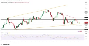 92a2084d3b564852b0026f594ceb8a24-1024x532