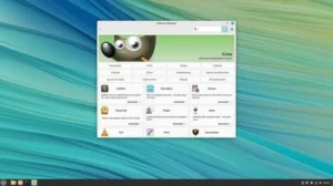 linux-vs-windows-11-1-a-screenshot-of-linux-showing-off-the-software-you-620x348