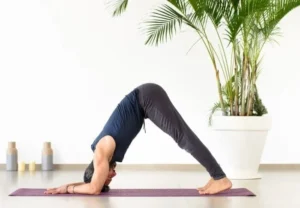 آموزش-حرکت-دلفین-در-یوگا