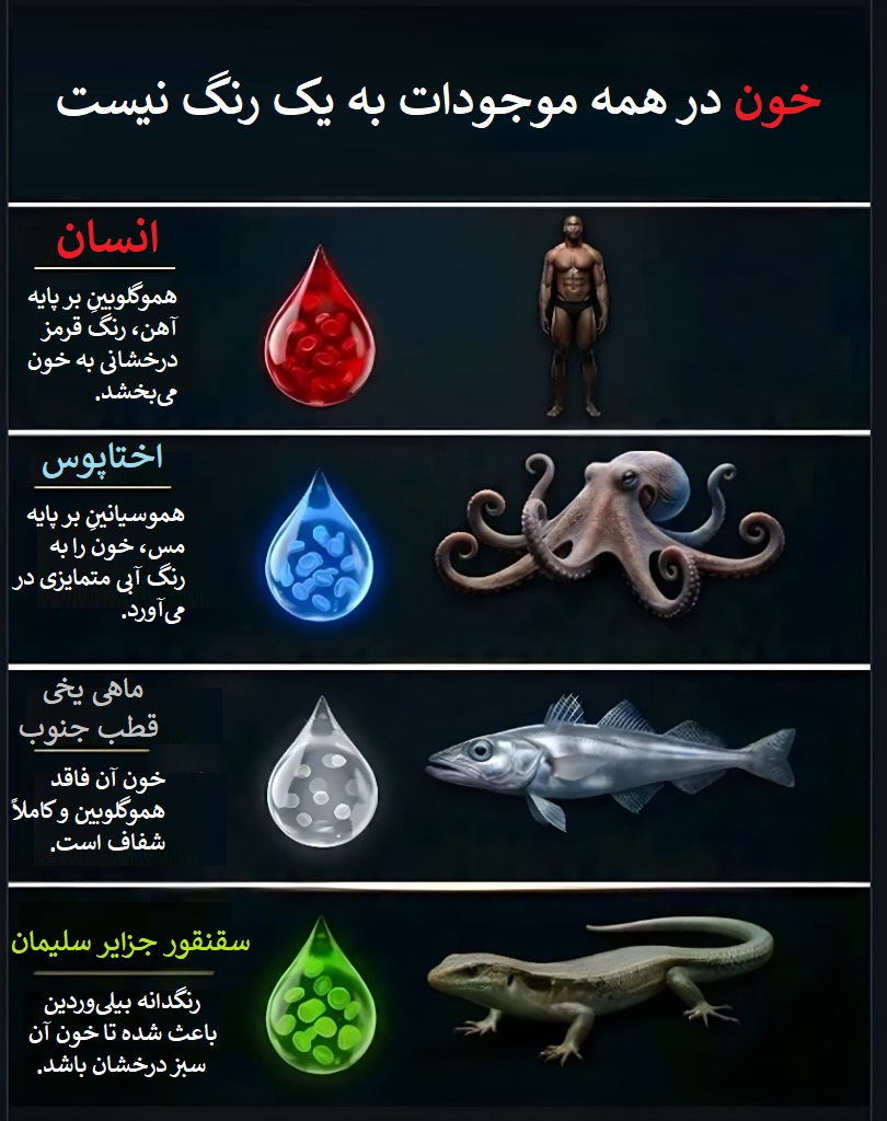 40890ed3ZjoyNTEzMjg2LmpwZ3xmdWk6MjQwNTgxMnxsOmZhfHY6MQ