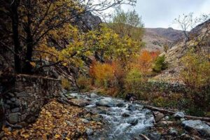 پاییز